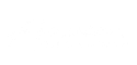 AAVSM